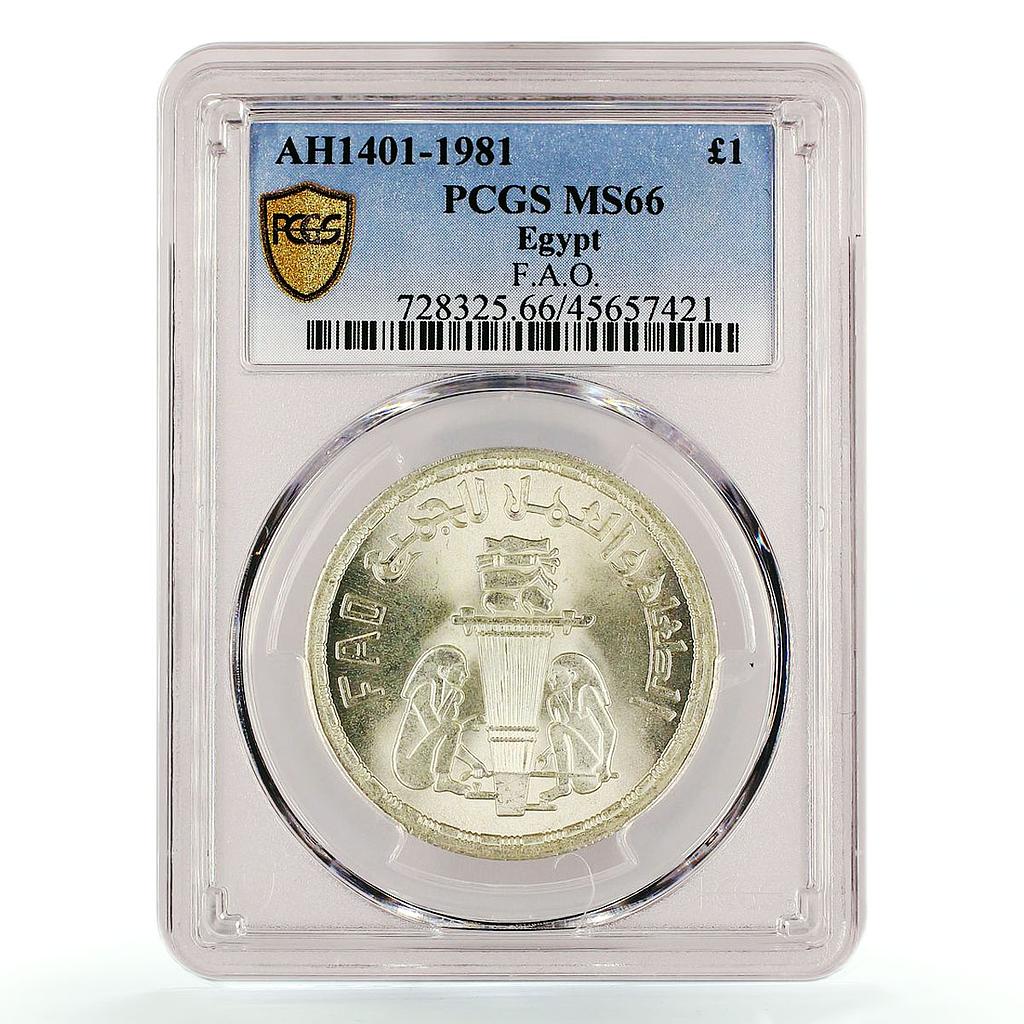 Egypt 1 pound FAO Two Egyptian Men and Torch MS66 PCGS silver coin 1981