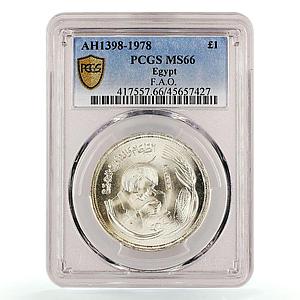 Egypt 1 pound FAO Woman Looking in Microscope MS66 PCGS silver coin 1978