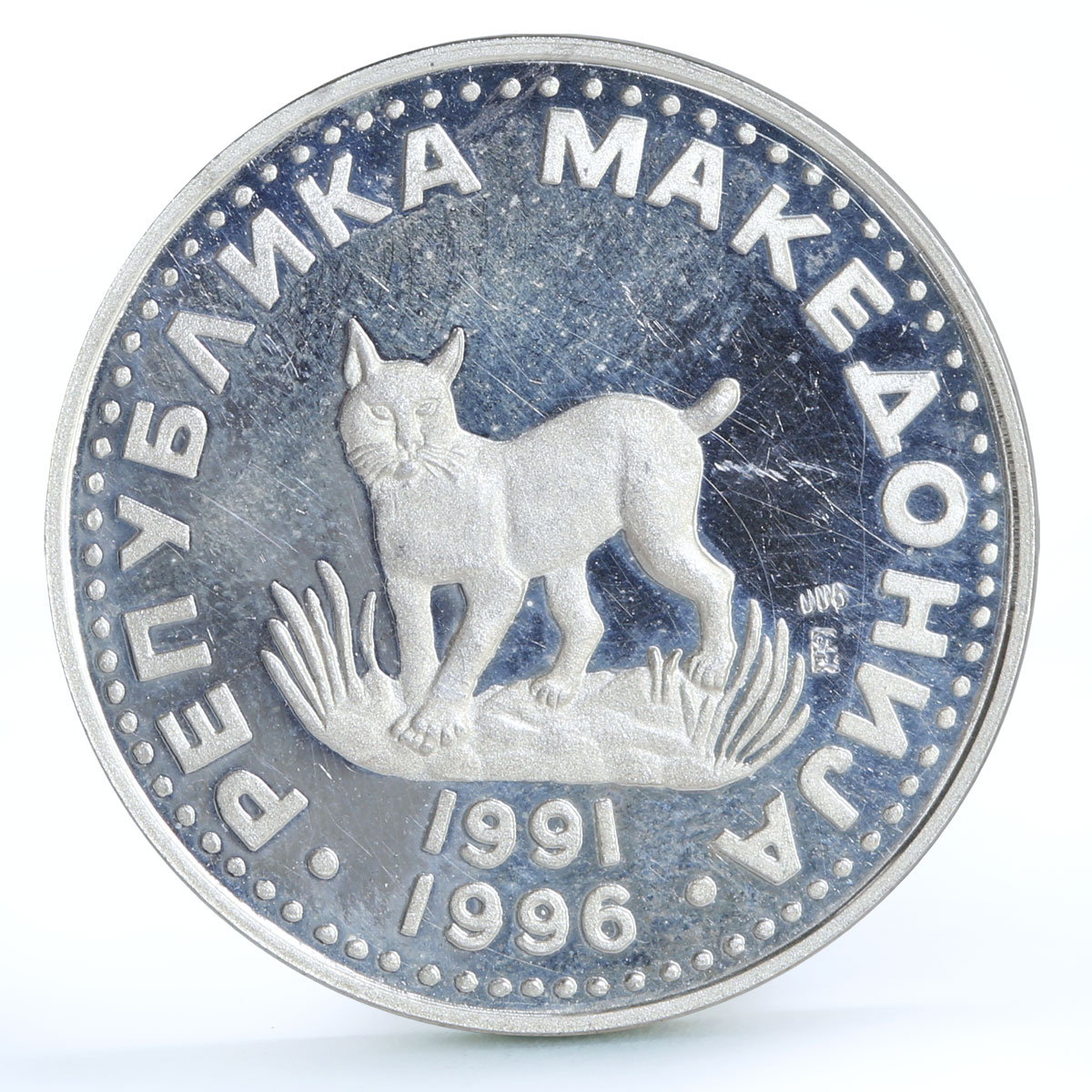 Macedonia 5 denari Endangred Wildlife Lynx Cat Fauna proof Ag proba coin 1996