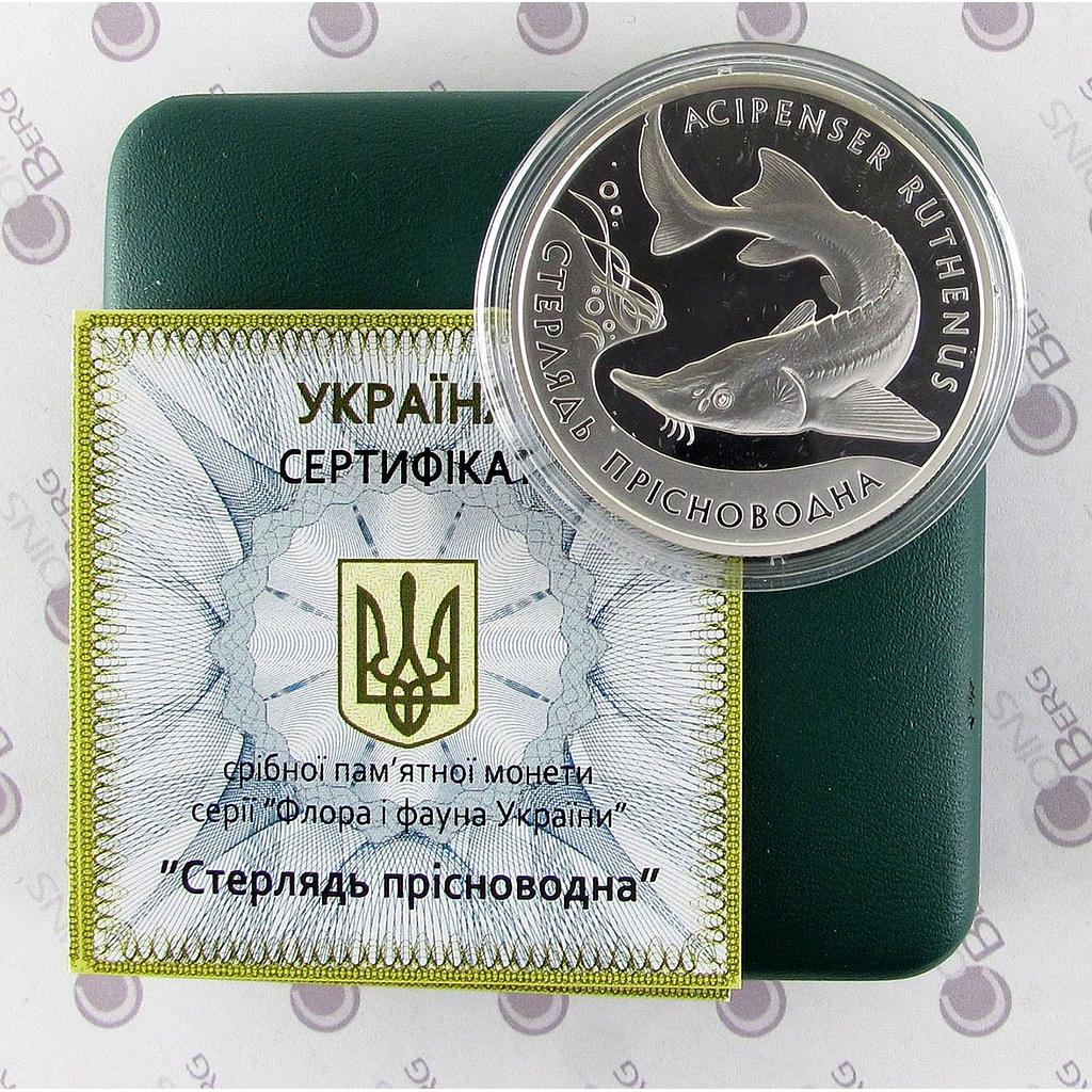 Ukraine 10 hryvnia Sterlet Fish Flora Fauna Red Book silver proof coin 2012