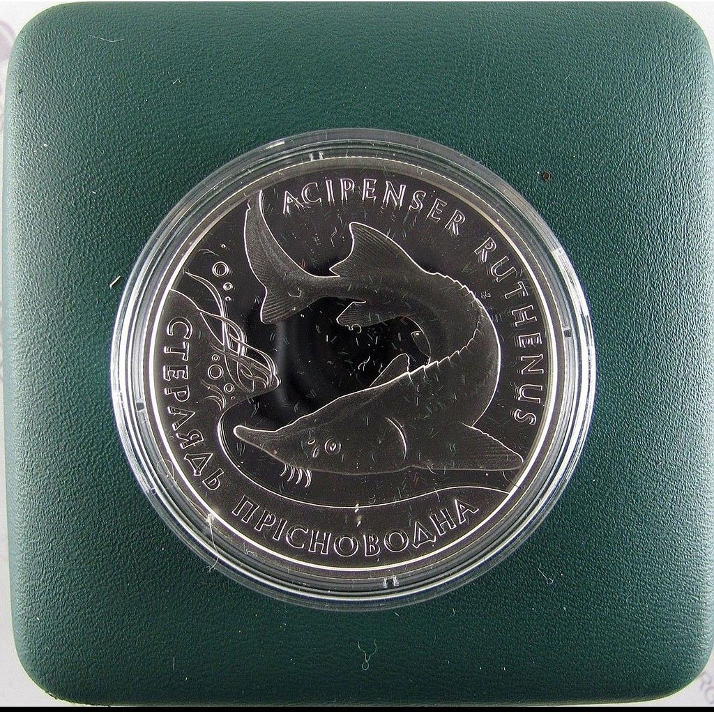 Ukraine 10 hryvnia Sterlet Fish Flora Fauna Red Book silver proof coin 2012