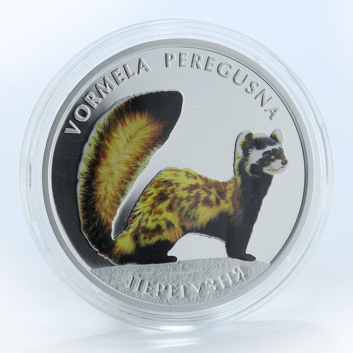 Ukraine 10 hryvnia Marbled Polecat Vormela Peregusna Fauna silver coin 2017