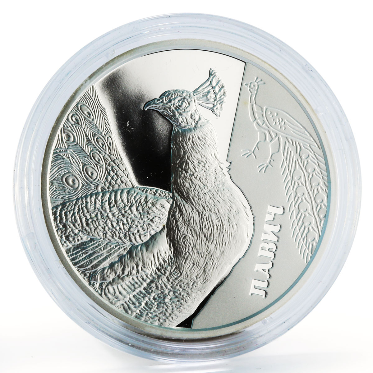 Ukraine 5 hryvnia Pavic Fauna Birds gilded silver proof coin 2016