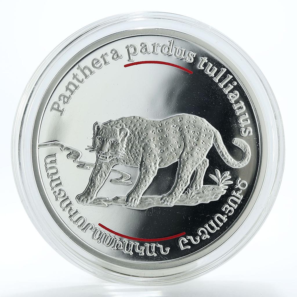 Armenia 100 dram Red Book of Armenia Anatolian Leopard silver coin 2007