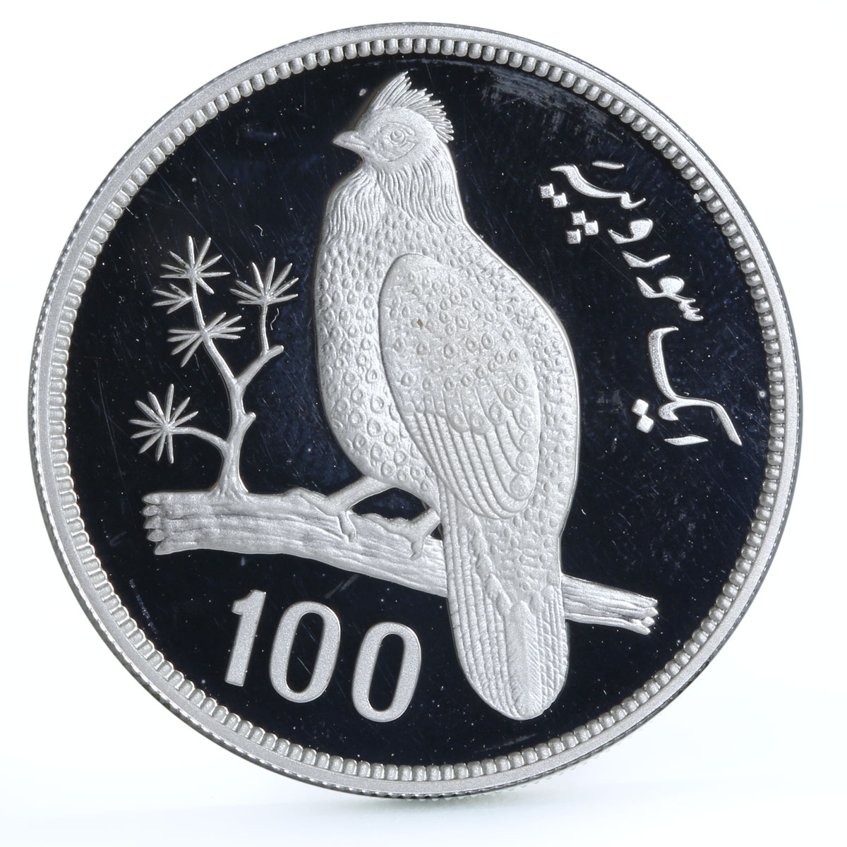 Pakistan 100 rupees WWF Tragopan Pheasant Bird Fauna proof silver coin 1976