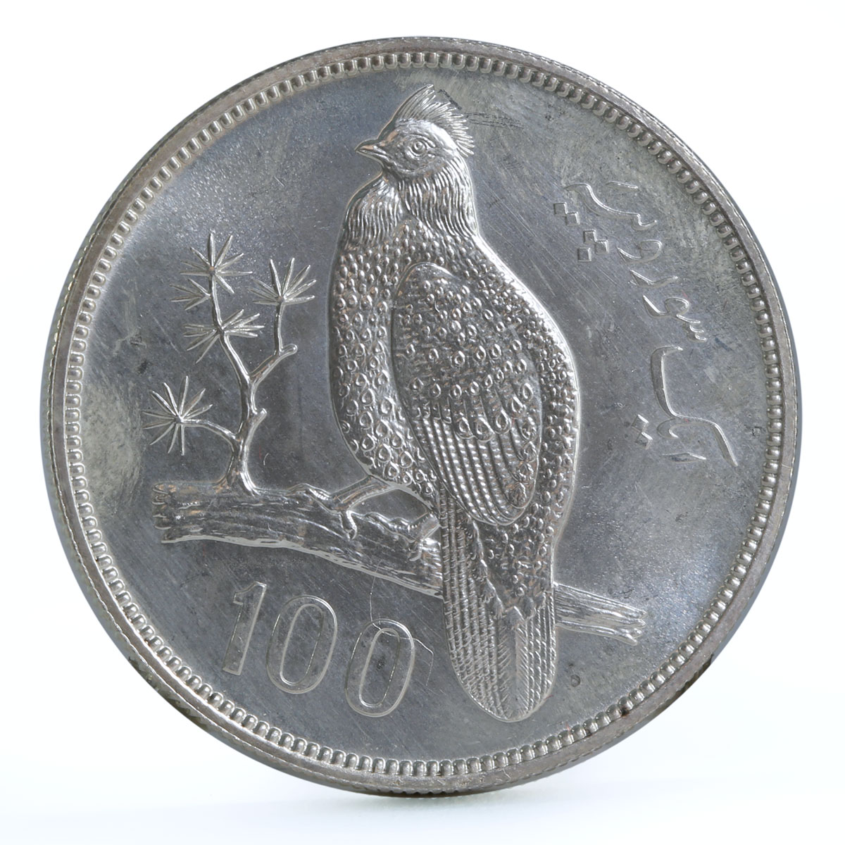 Pakistan 100 rupees WWF Tragopan Pheasant Bird Fauna silver coin 1976