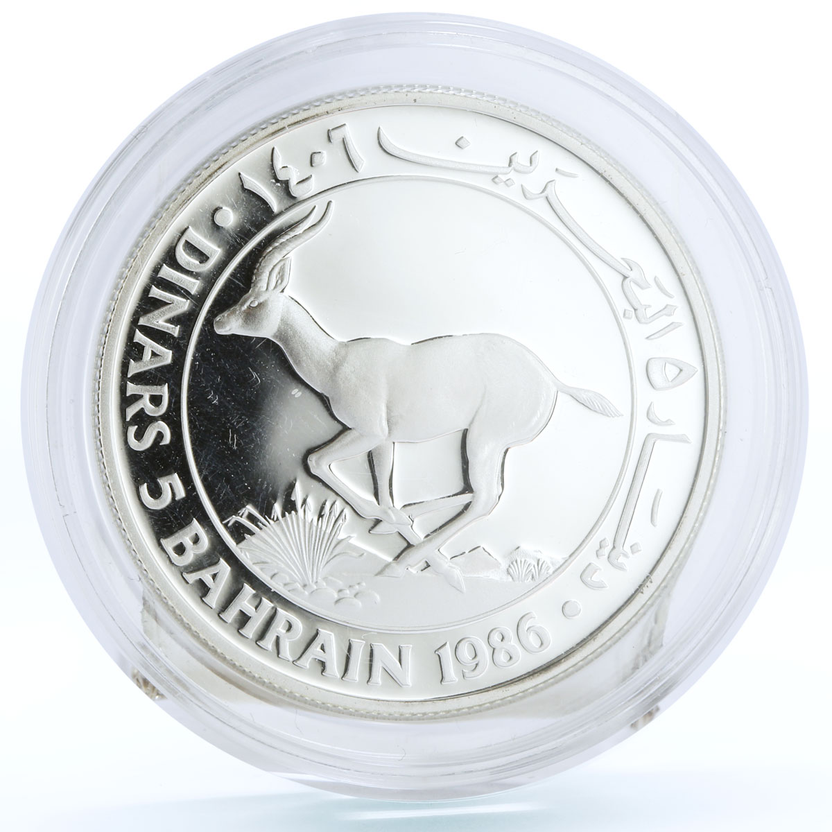 Bahrain 5 dinars World Wildlife Fund series Gazelle silver coin 1986