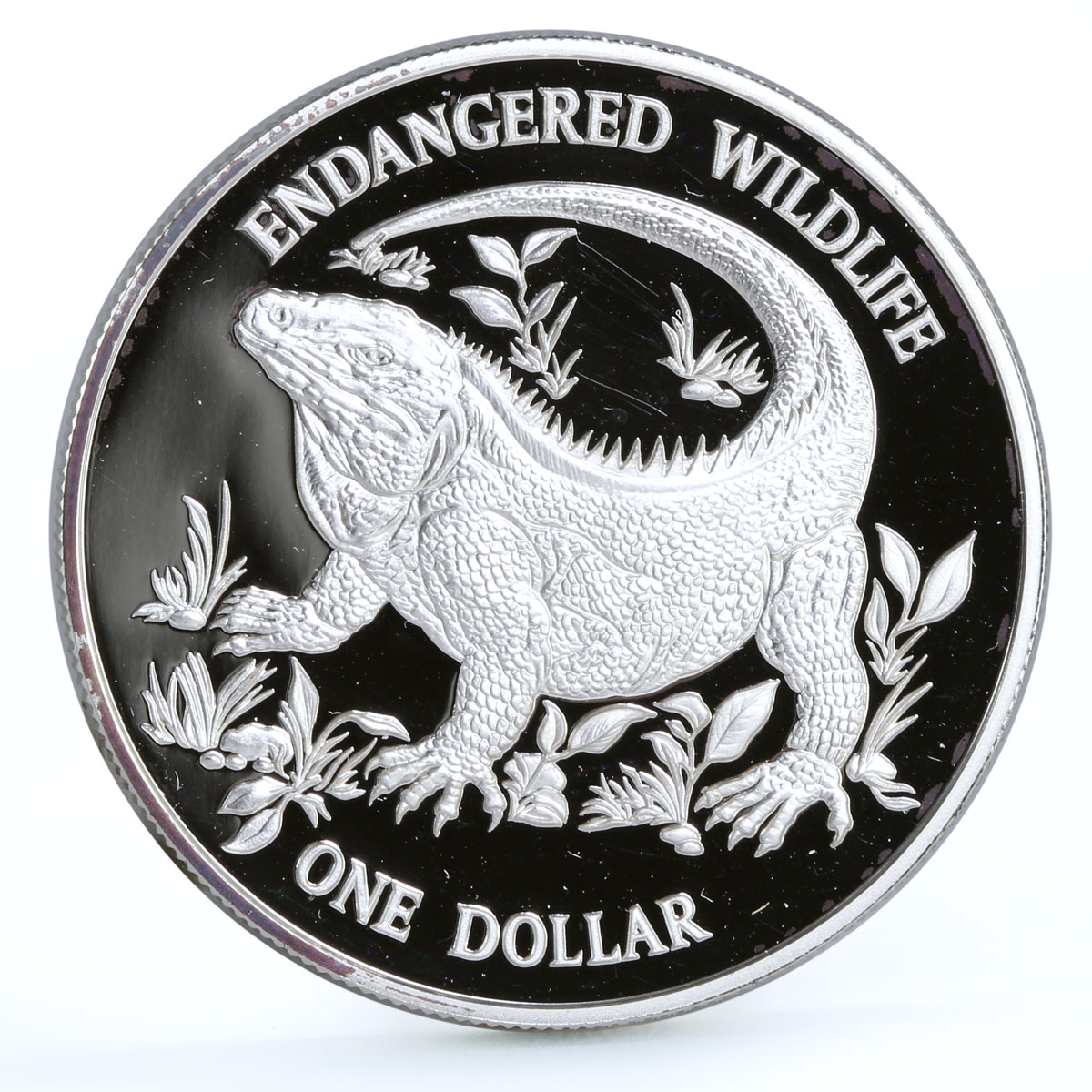 Cayman Islands 1 dollar Endangered Wildlife Blue Rock Iguana Fauna Ag coin 1995
