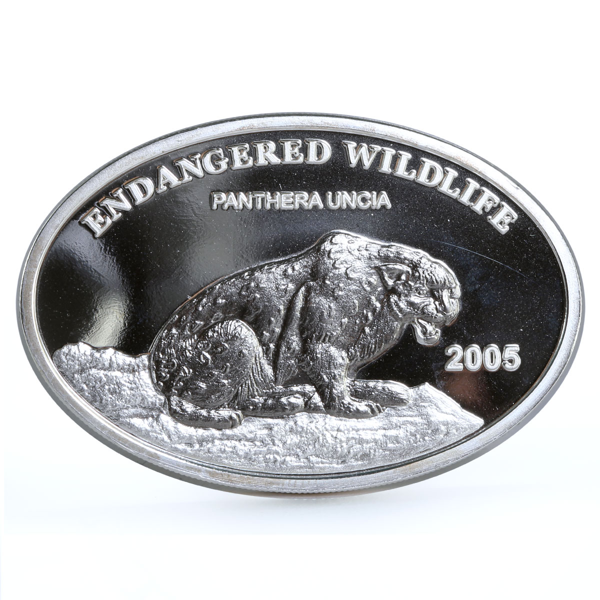 Mongolia 500 togrog Endangered Wildlife Black Panther Cat Fauna silver coin 2005