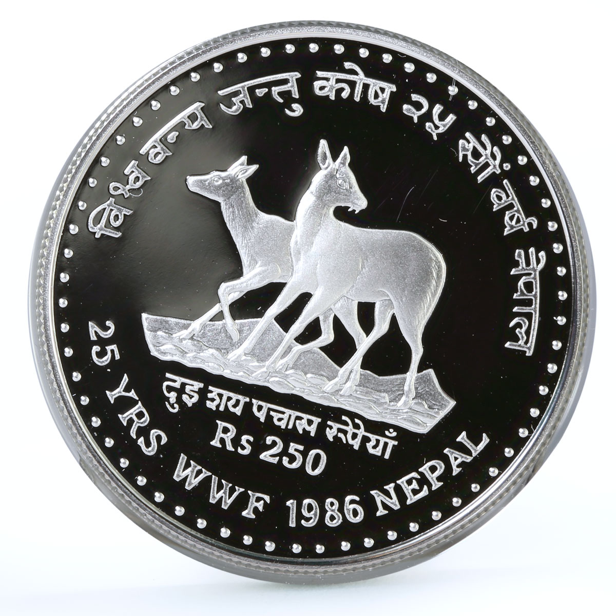 Nepal 250 rupees Endangered Wildlife Musk Deer Animals Fauna silver coin 1986