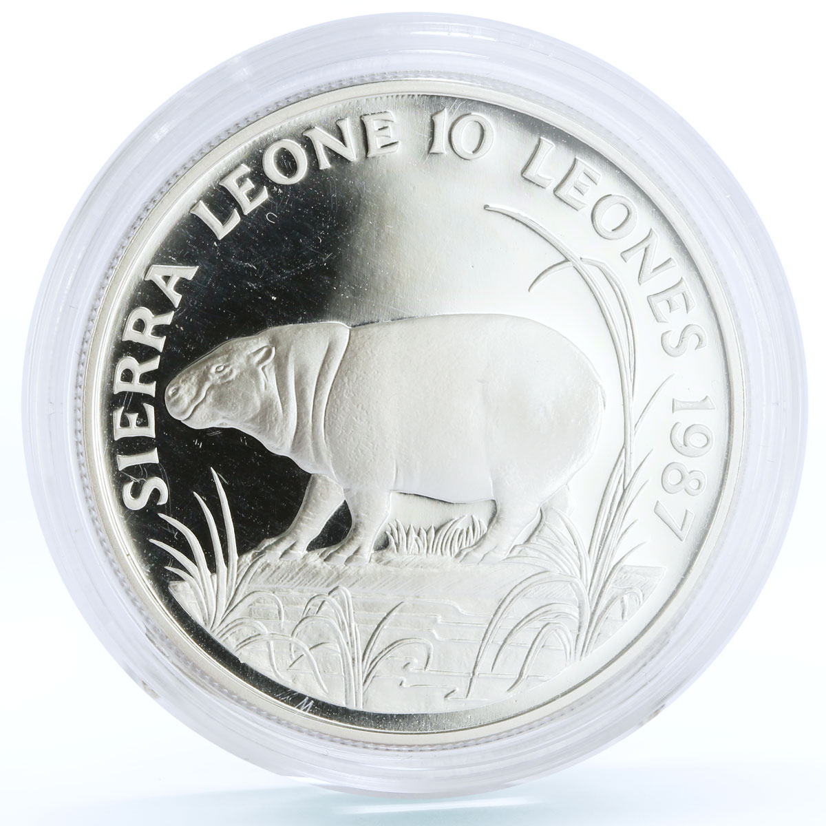 Sierra Leone 10 leones Endangered Wildlife Pygmy Hippopotamus Fauna Ag coin 1987