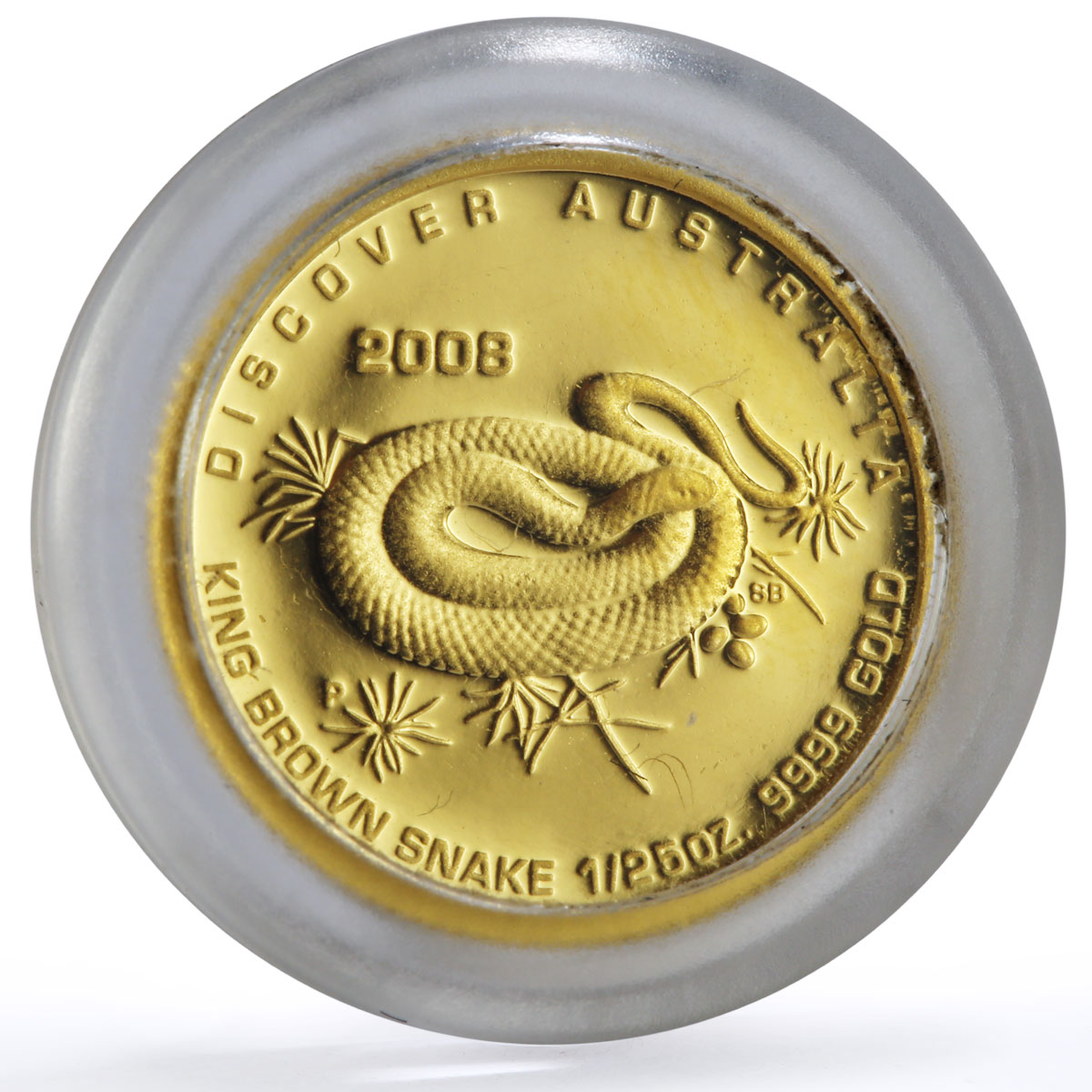 Australia 5 dollars Discovers Brown Snake Animals Fauna proof gold coin 2008