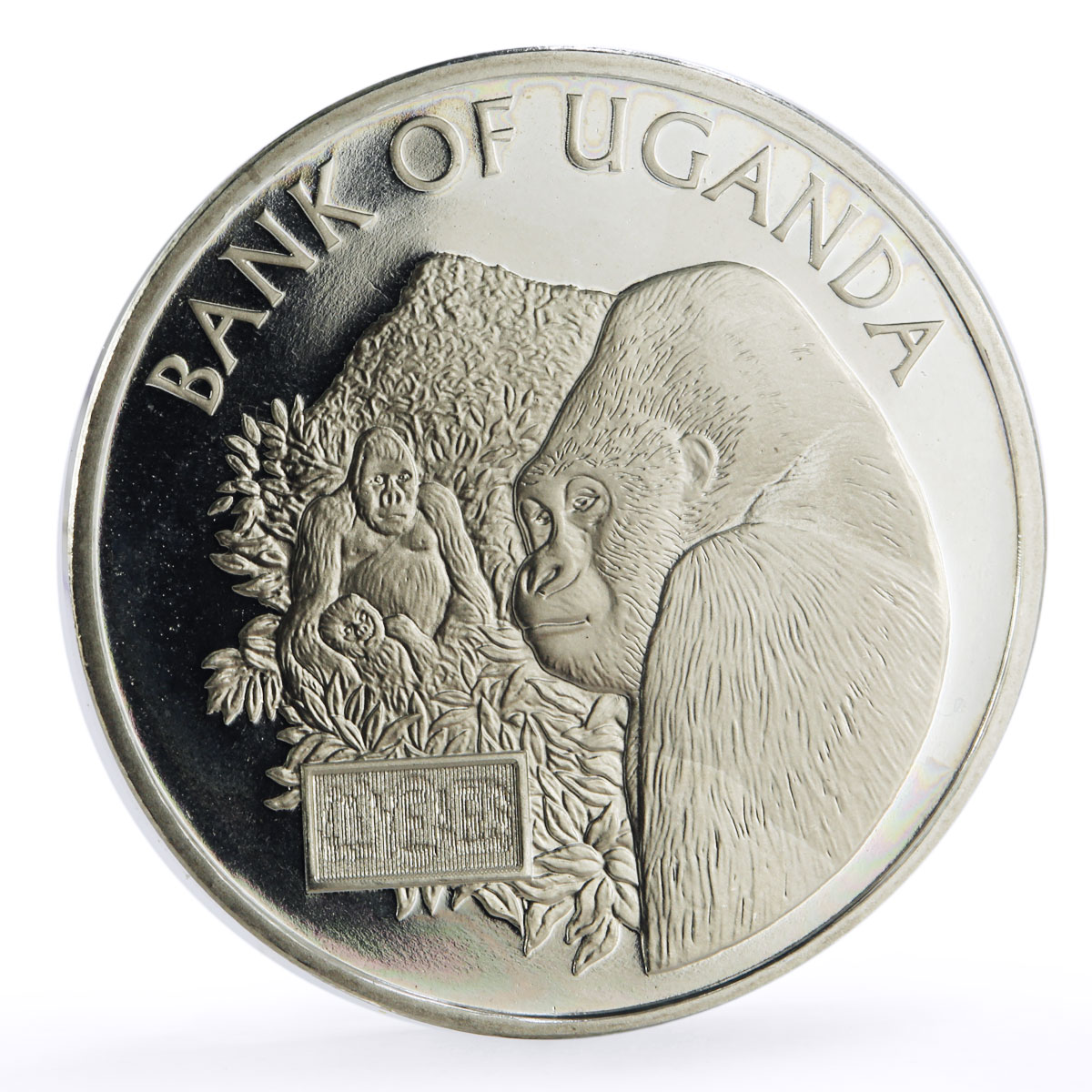 Uganda 20000 shillings 40 Years Central Bank Gorillas Fauna proof CuNi coin 2006