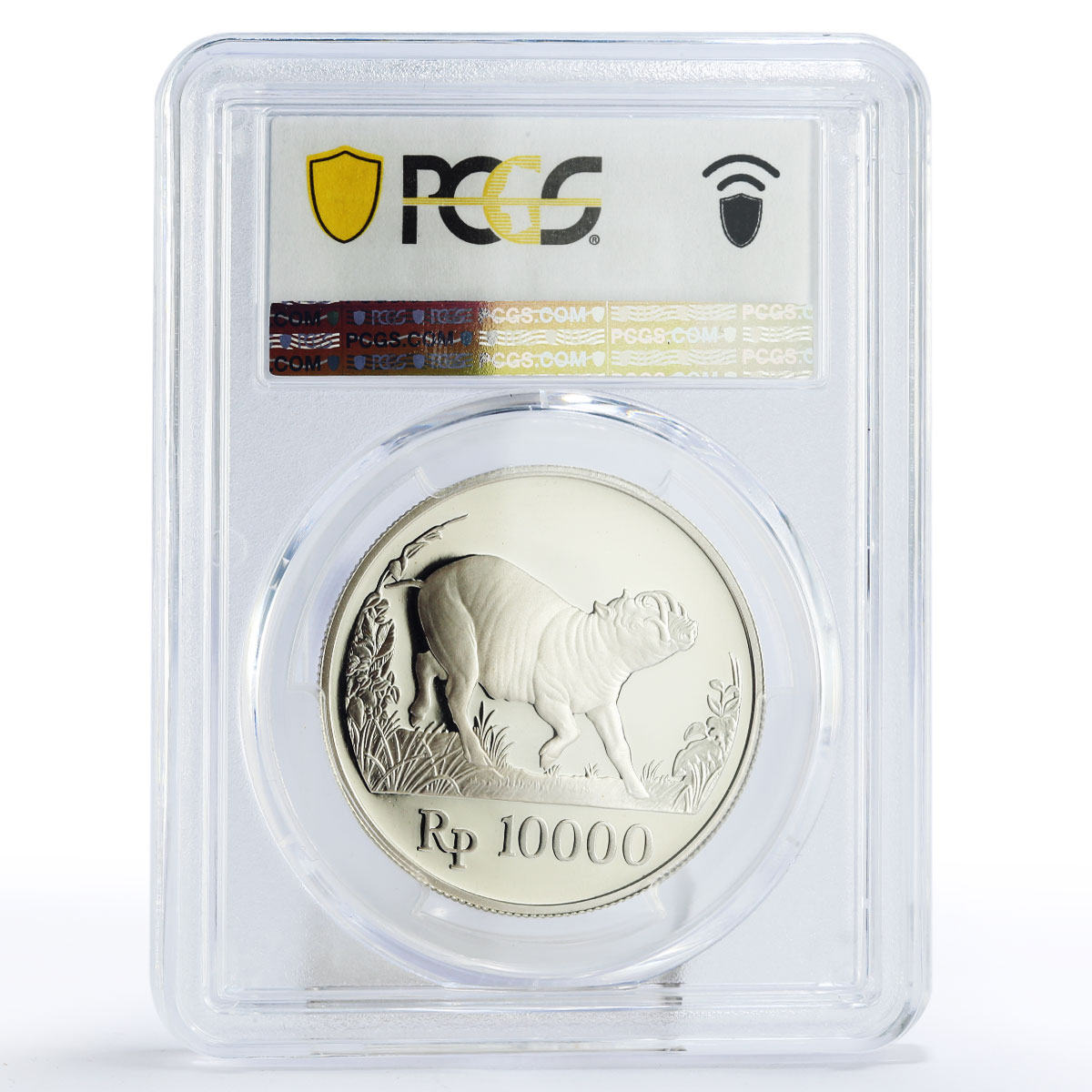 Indonesia 10000 rupiah World Wildlife Wild Pig Fauna PR70 PCGS silver coin 1987