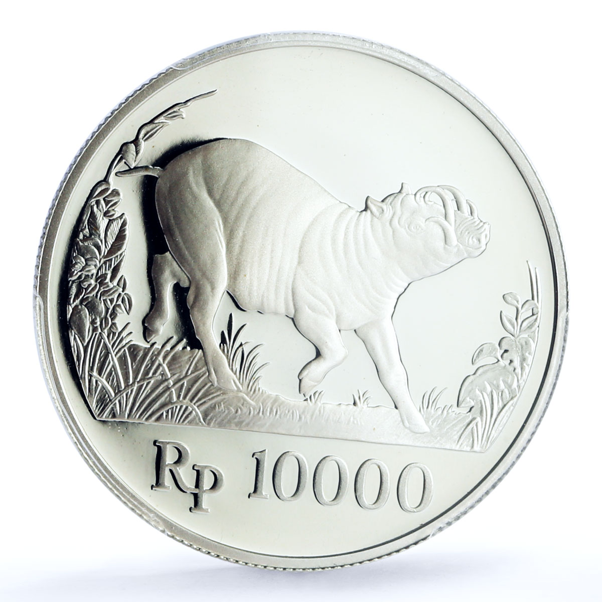 Indonesia 10000 rupiah World Wildlife Wild Pig Fauna PR70 PCGS silver coin 1987