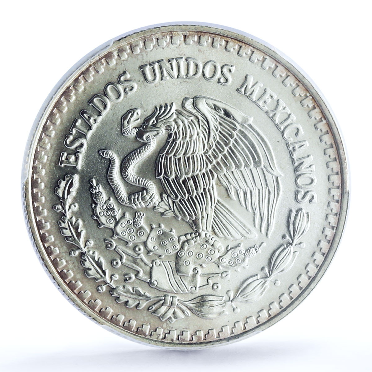 Mexico 1/2 onza Libertad Angel of Independence MS67 PCGS silver coin 1996