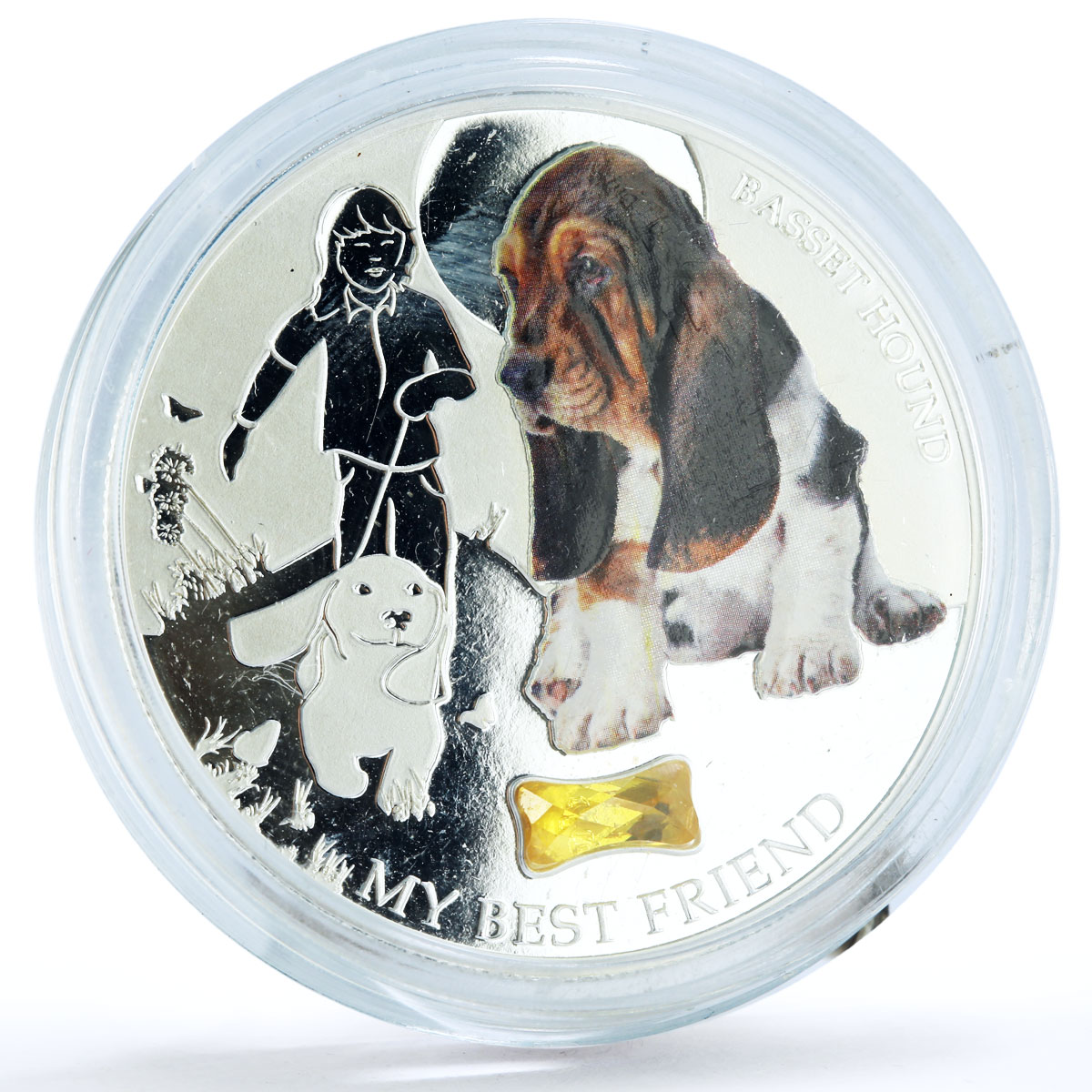 Fiji 2 dollars Home Pets Basset Hound Dog Animals colored silver coin 2013