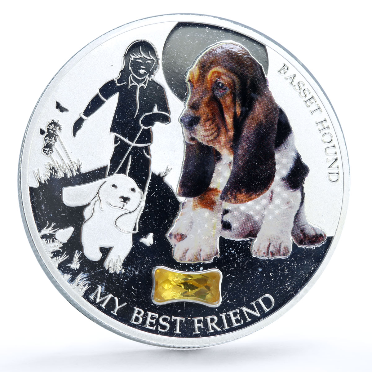 Fiji 2 dollars Home Pets Basset Hound Dog Animals colored silver coin 2013