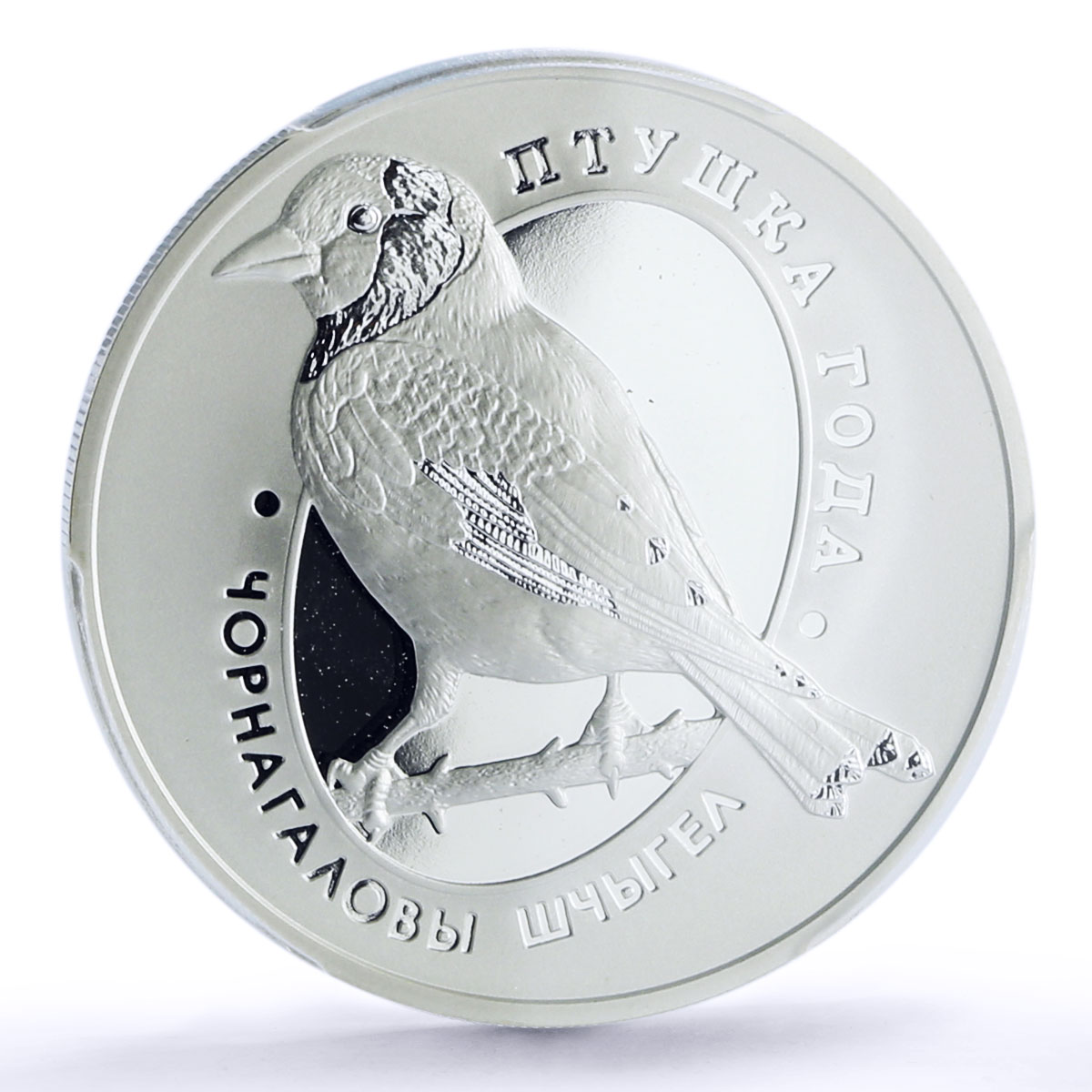 Belarus 10 rubles  Bird of Year European Goldfinch PR70 PCGS silver coin 2018