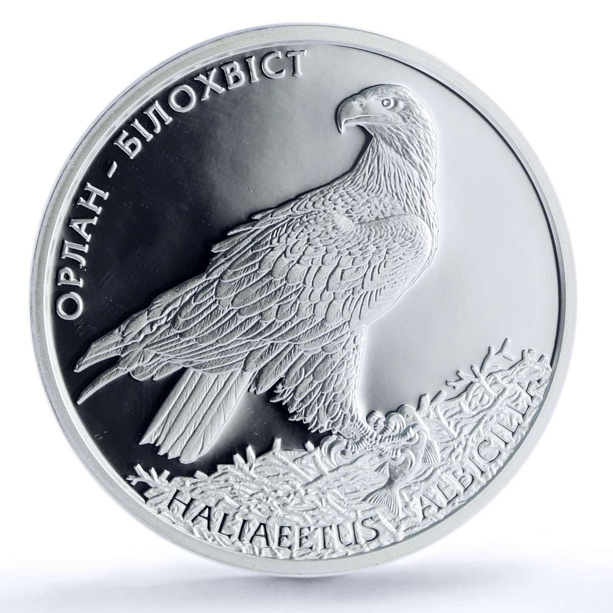 Ukraine 10 hryven White-tailed Eagle Bird Fauna PR70 PCGS silver coin 2019