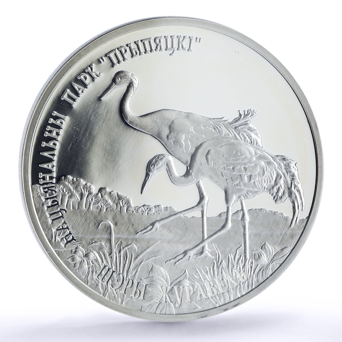 Belarus 20 rub Prypiatsky National Park Common Crane PR70 PCGS silver coin 2004