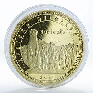 Zambia 1000 kwacha African Wildlife Suricate Meerkat coin 2014