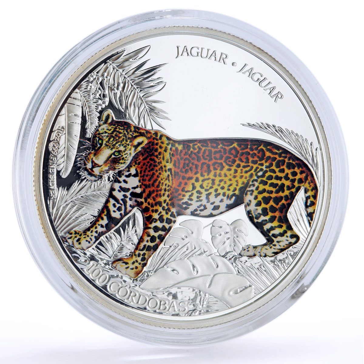 Nicaragua 100 cordobas Conservation Wildlife Jaguar Cat Fauna silver coin 2018