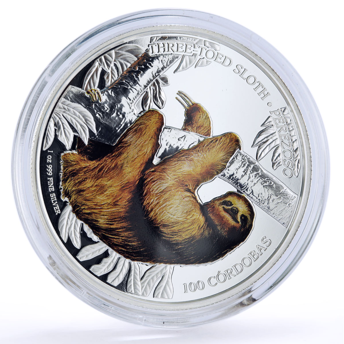 Nicaragua 100 cordobas Conservation Wildlife Three Toed Sloth Fauna Ag coin 2018