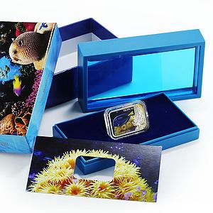 Niue 1 dollar Tropical Coral Fish Royal Blue Tang Fauna colored silver coin 2013