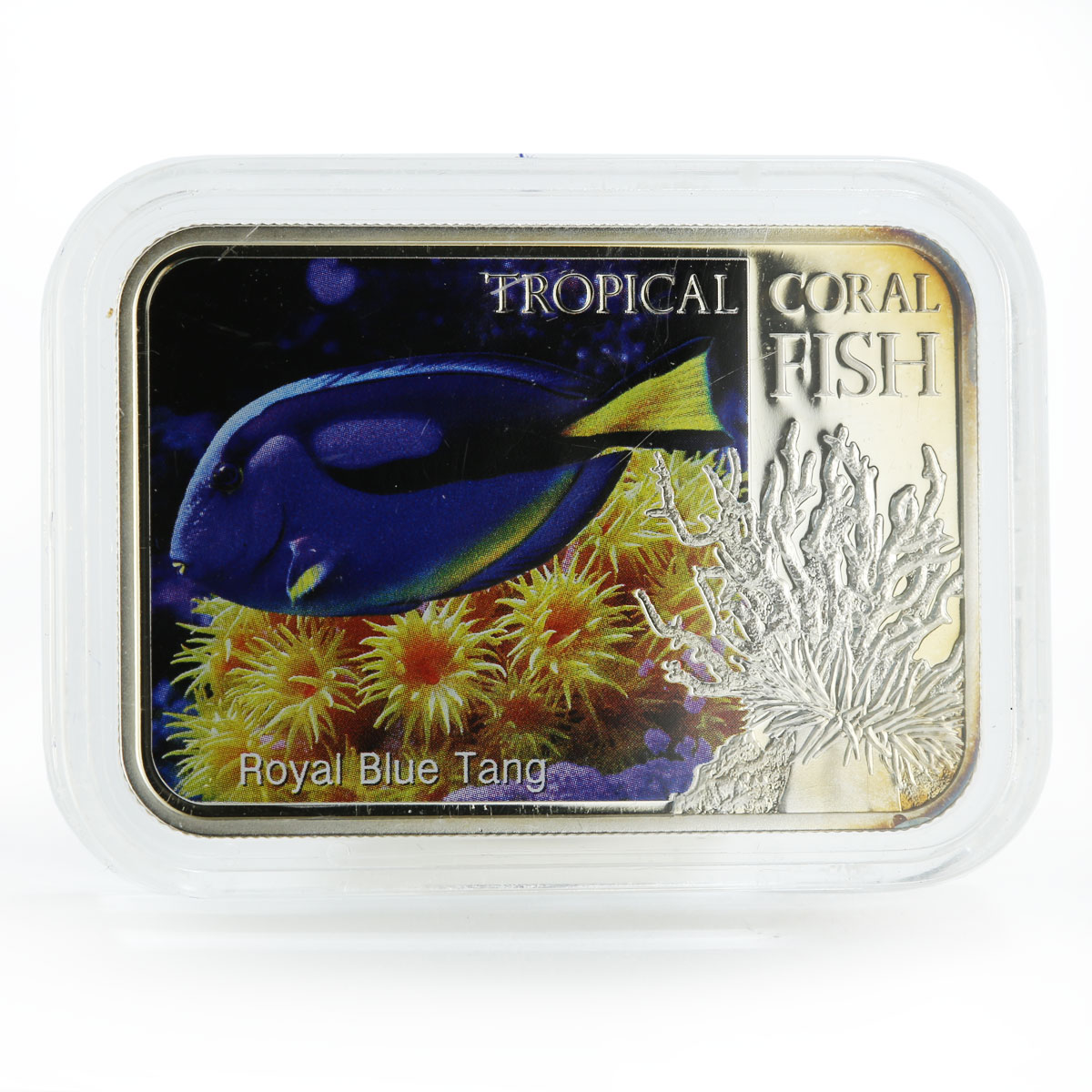 Niue 1 dollar Tropical Coral Fish Royal Blue Tang Fauna colored silver coin 2013