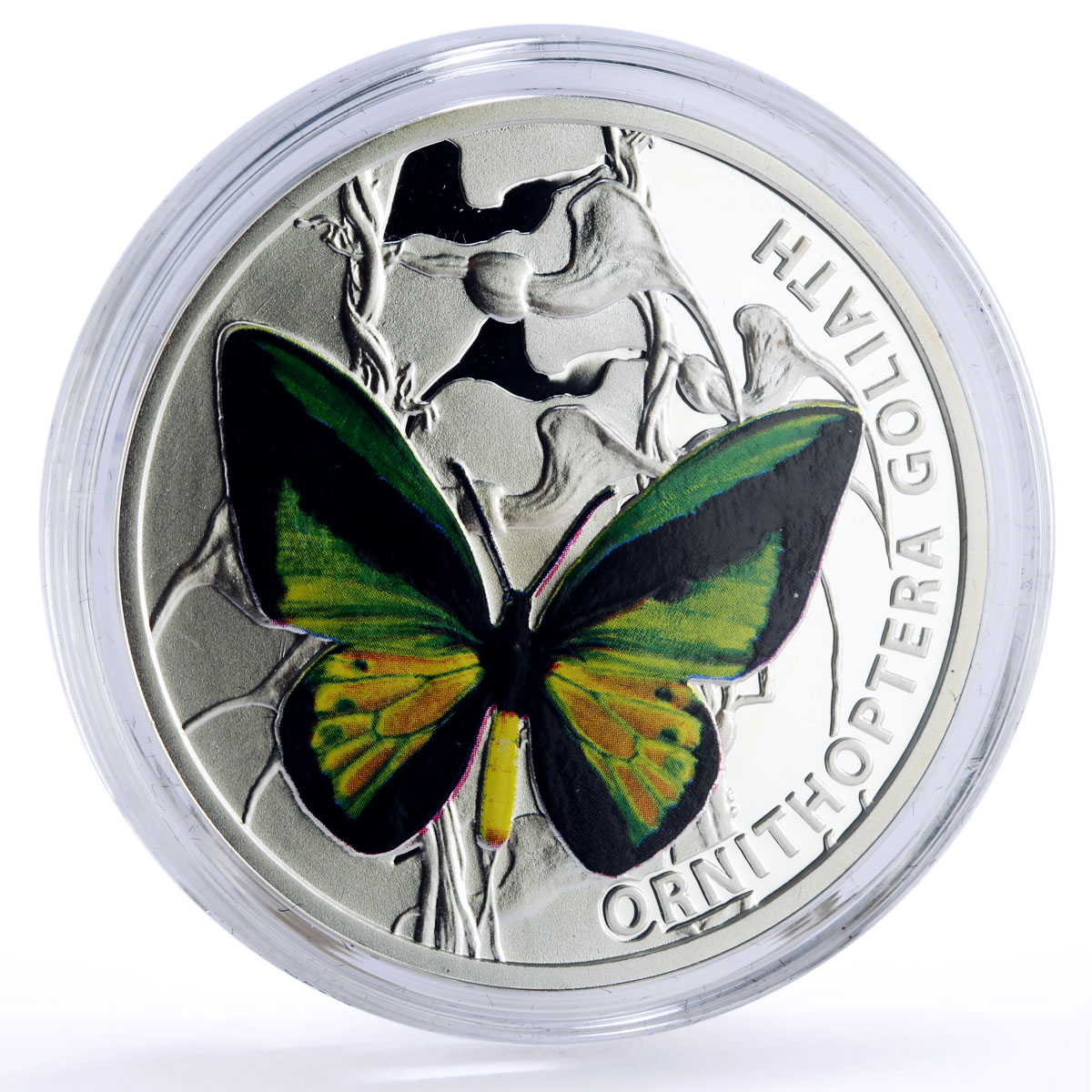 Niue 1 dollar Butterflies Ornithoptera Goliath Butterfly Fauna silver coin 2012