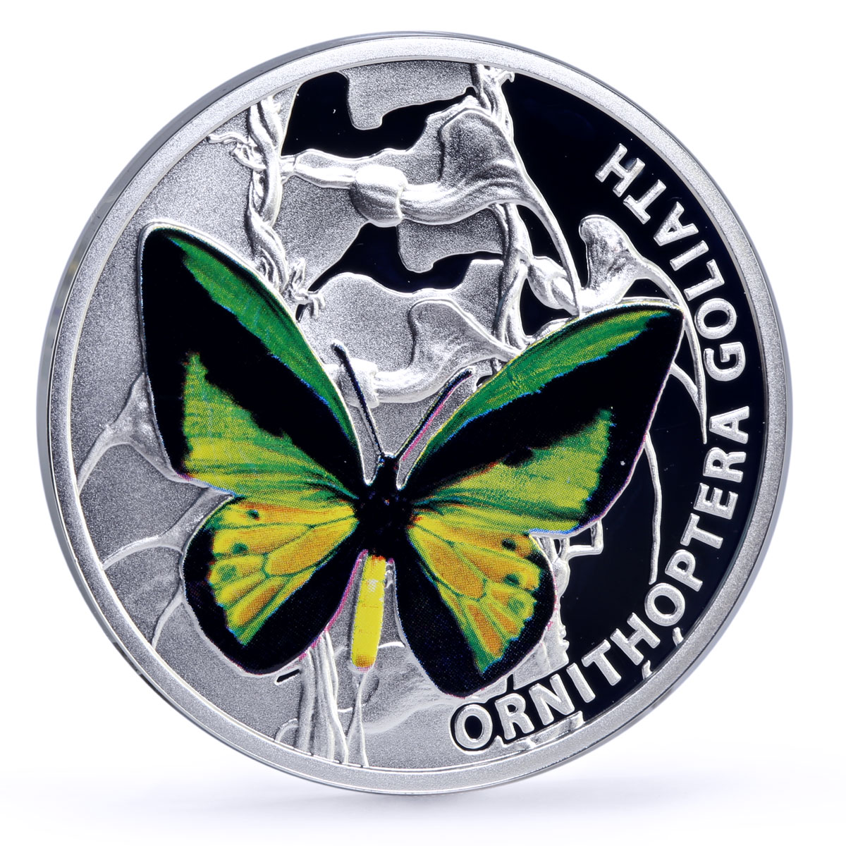 Niue 1 dollar Butterflies Ornithoptera Goliath Butterfly Fauna silver coin 2012