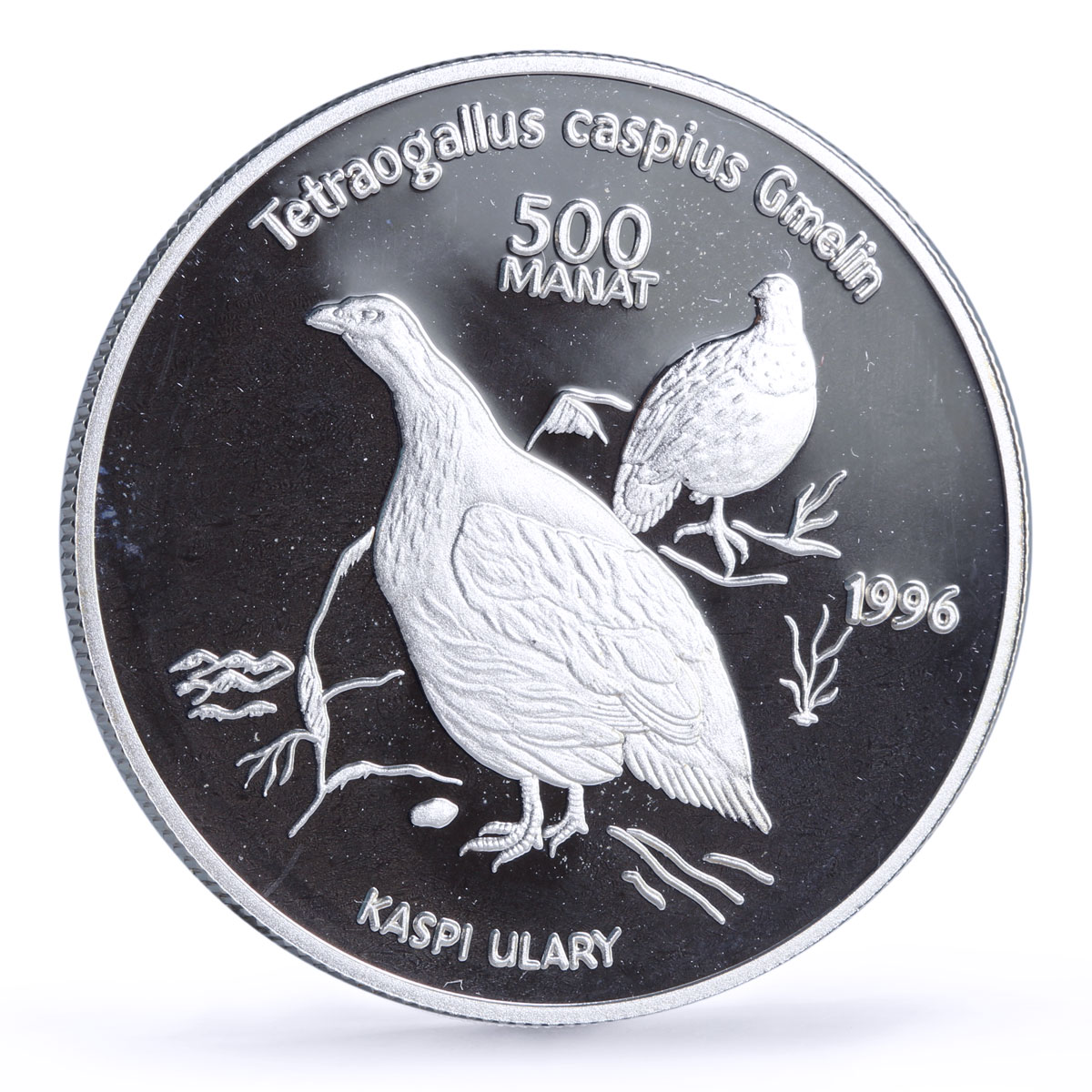 Turkmenistan 500 manat Red Book Wildlife Snowcock Bird Fauna silver coin 1996