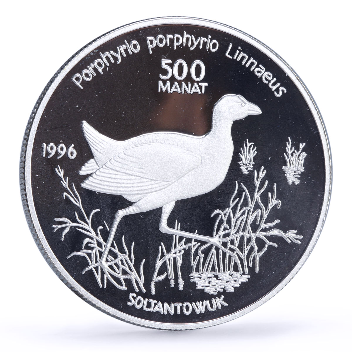 Turkmenistan 500 manat Red Book Wildlife Swamphen Bird Fauna silver coin 1996