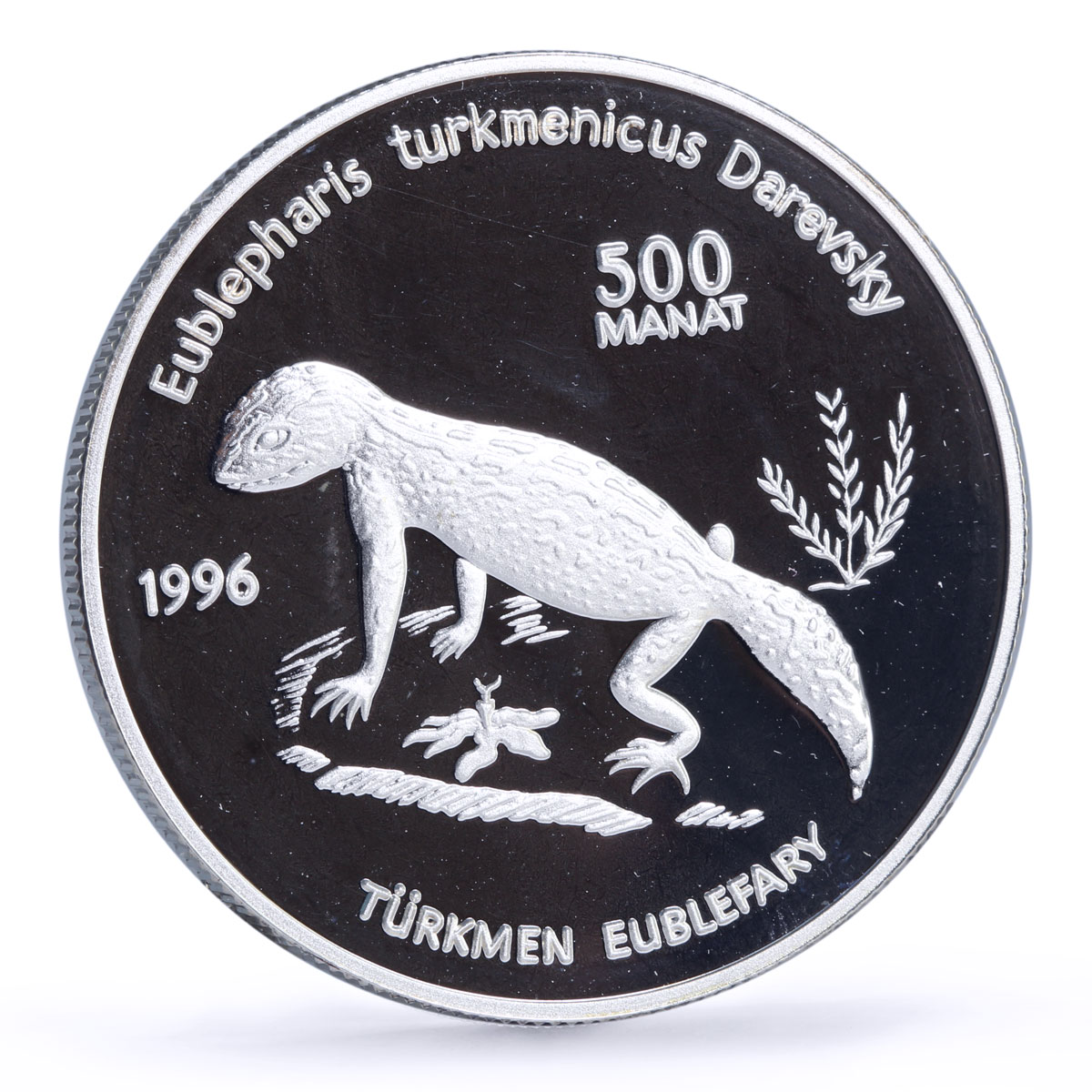 Turkmenistan 500 manat Red Book Wildlife Gecko Lizard Fauna silver coin 1996