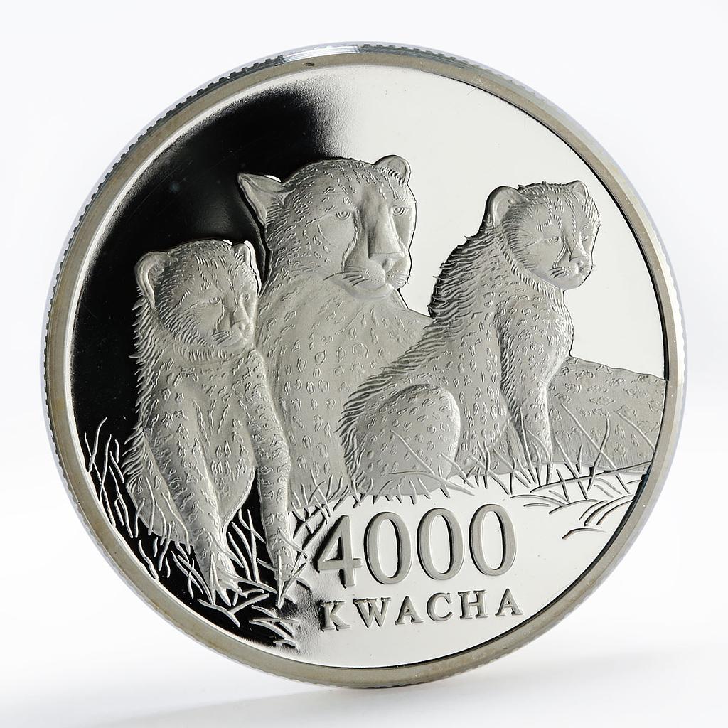 Zambia 4000 kwacha African Wildlife Leopard and two cubs proof silver coin 2000