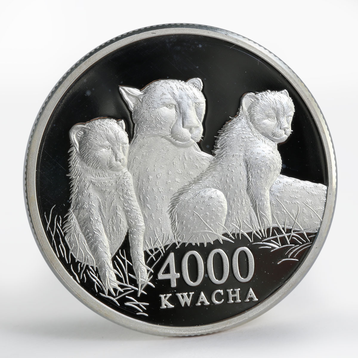 Zambia 4000 kwacha African Wildlife Leopard and two cubs proof silver coin 2000