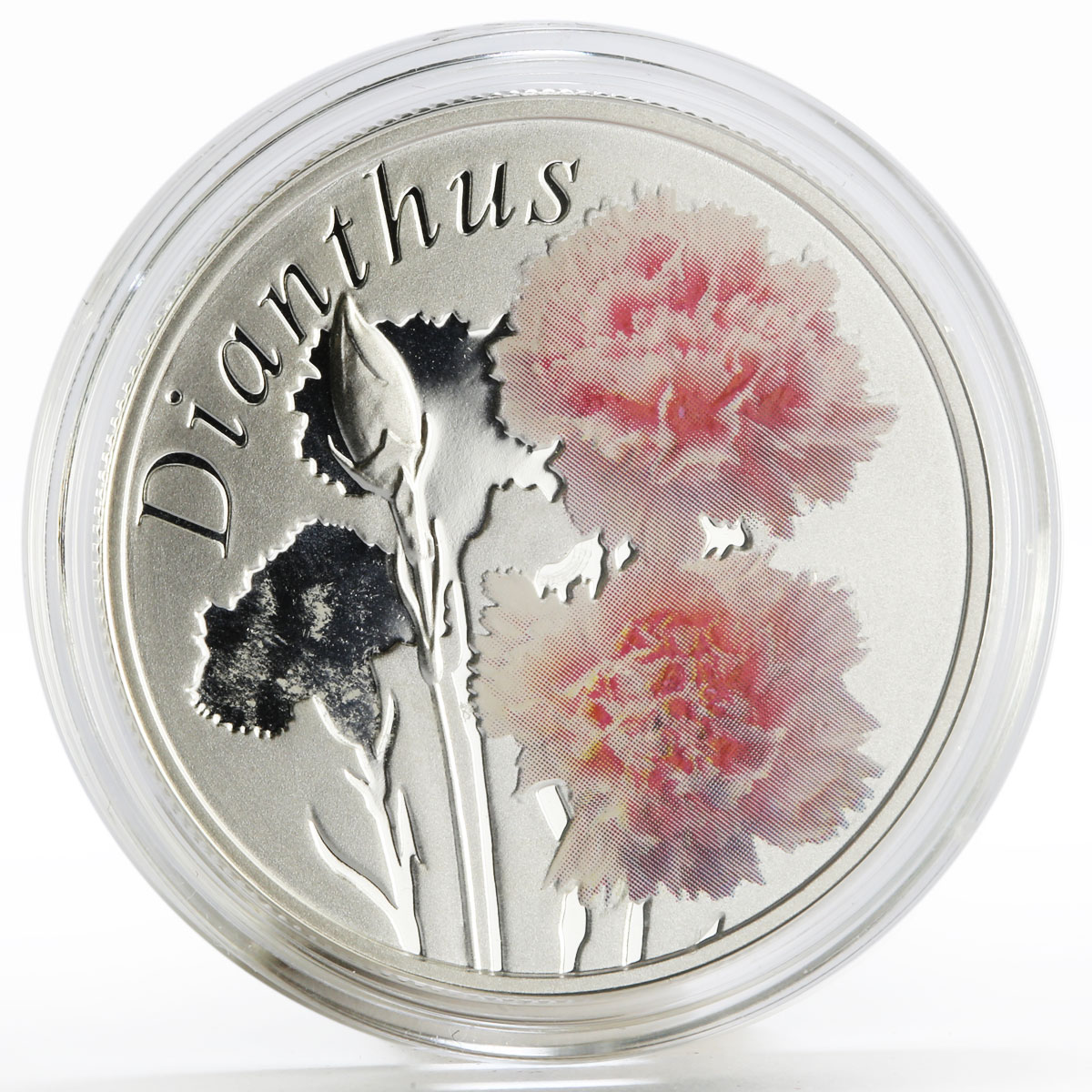 Belarus 10 rubles Beauty of Flowers series Carnation proof silver coin 2013