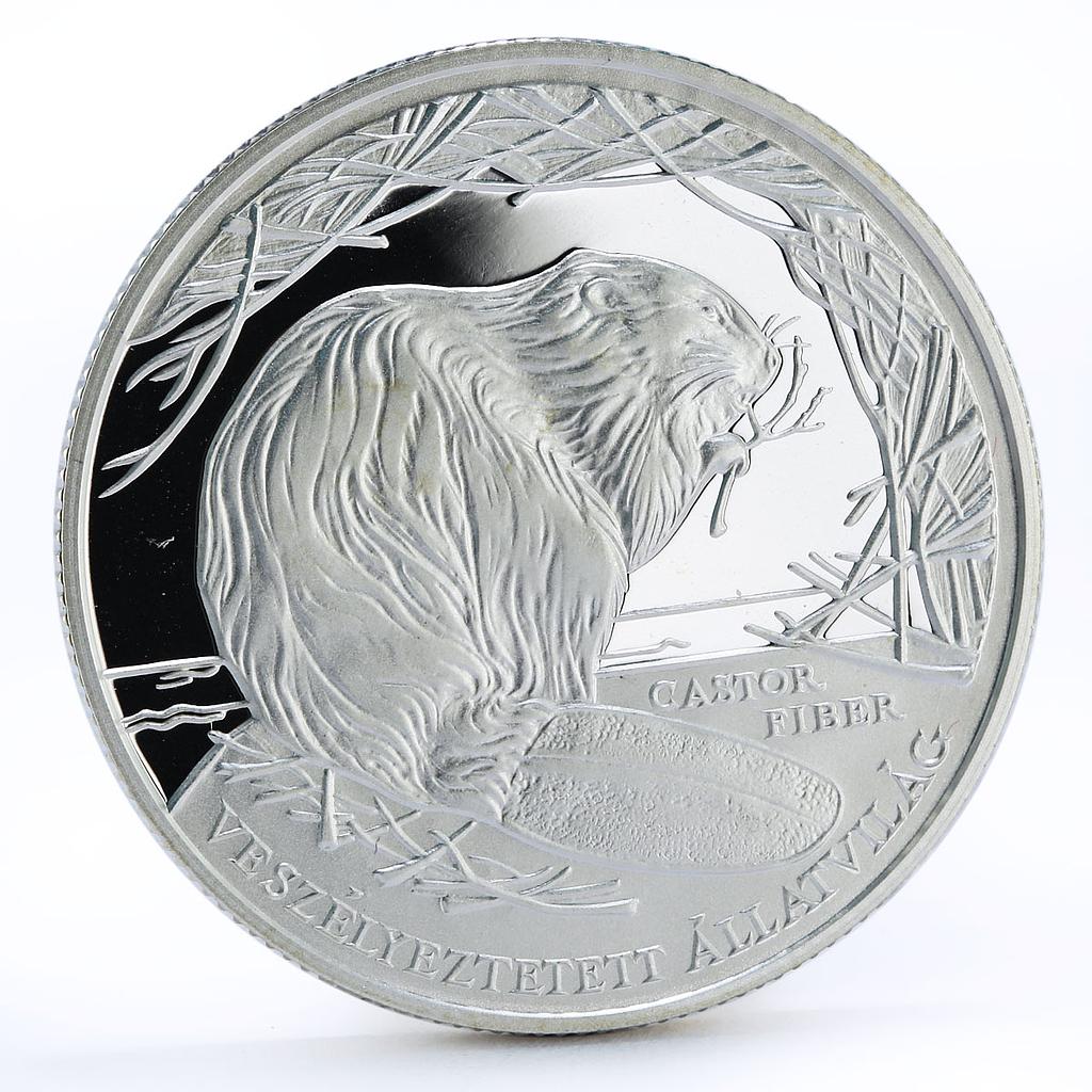 Hungary 3000 forint Endangered Wildlife series Beaver proof silver coin 2000