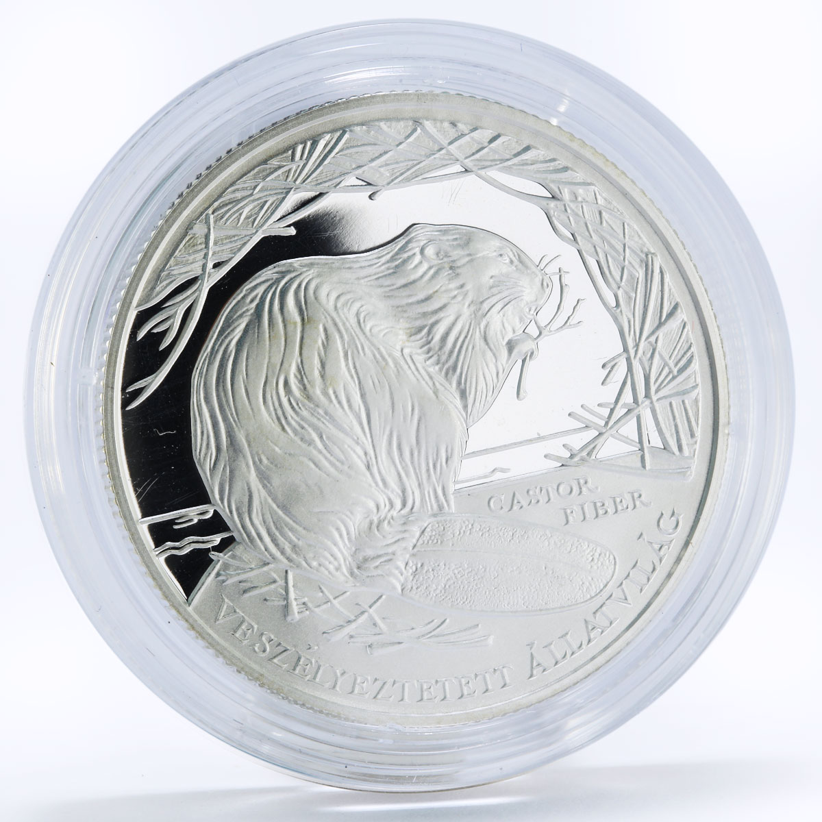 Hungary 3000 forint Endangered Wildlife series Beaver proof silver coin 2000