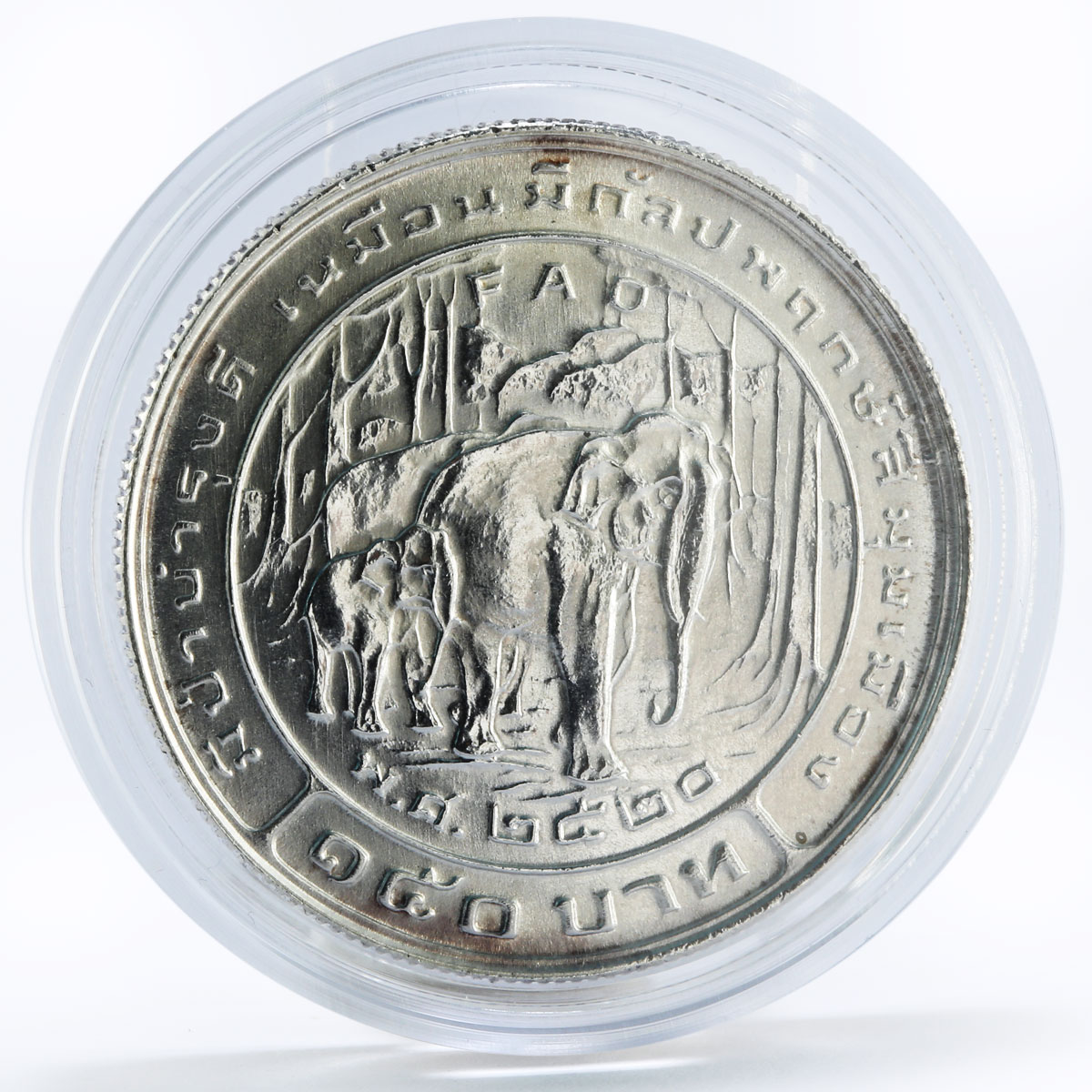 Thailand 150 baht FAO Elephant silver coin 1977