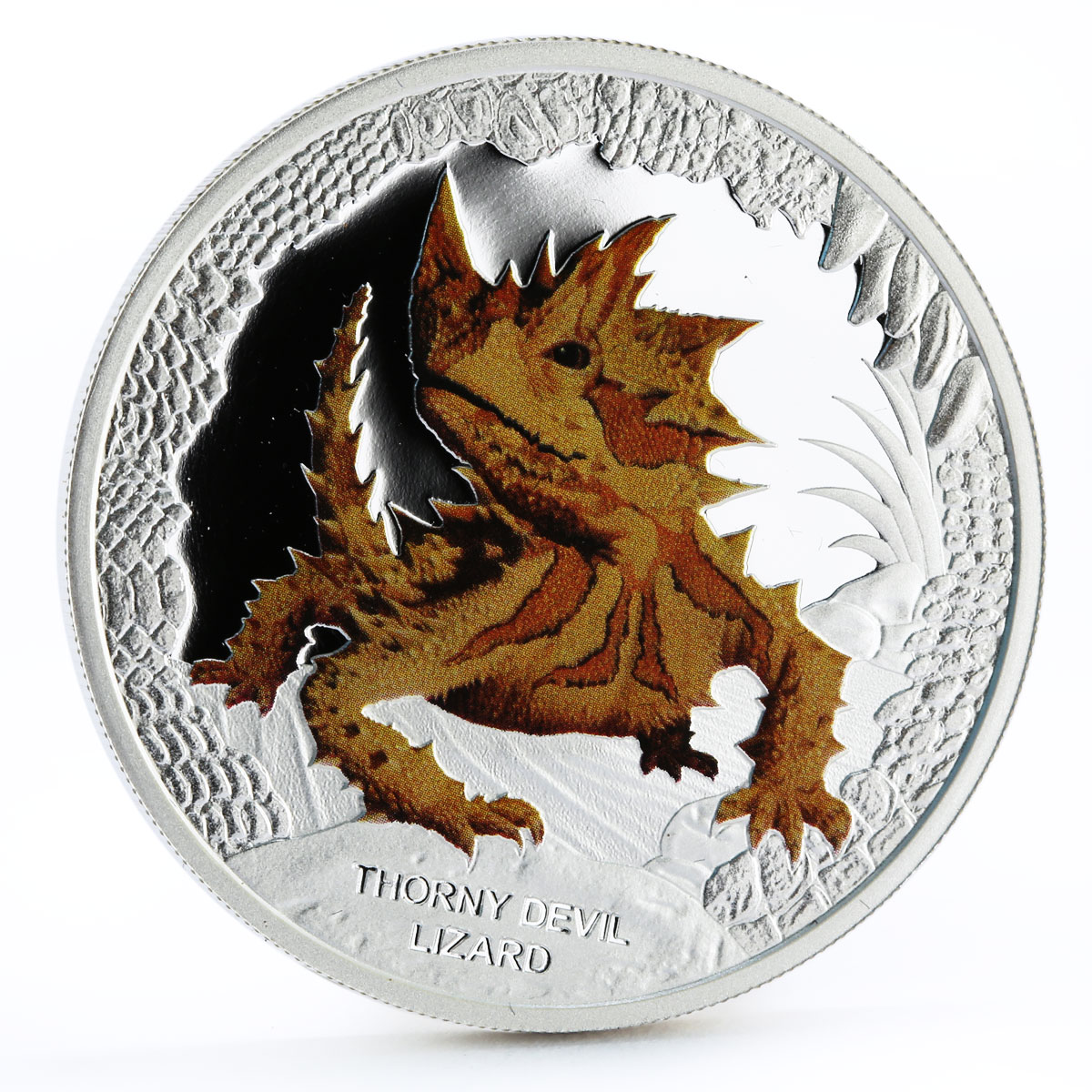 Tuvalu 1 dollar Reamarkable Reptiles series Thorny Devil Lizard silver coin 2014