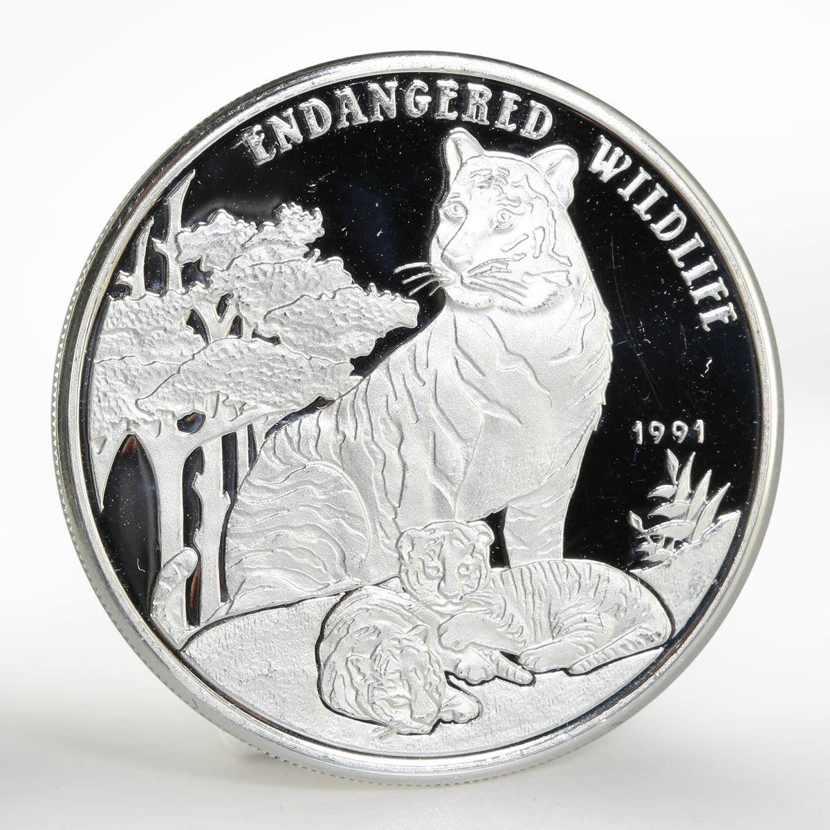 Laos 50 kip Endangered Wildlife Tigers proof silver coin 1991