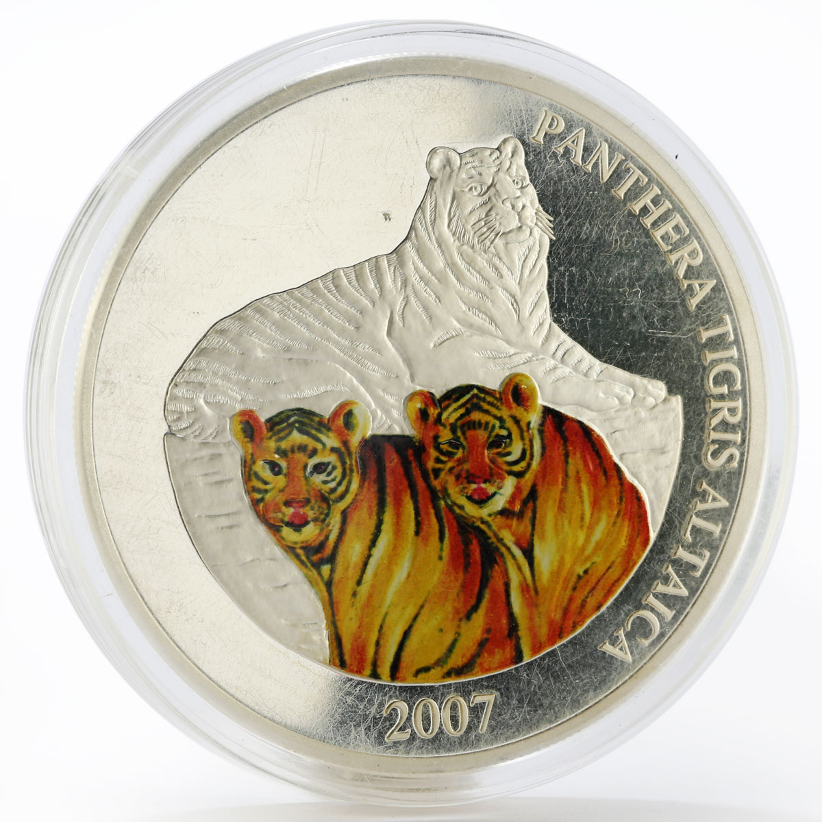Mongolia 5000 togrog Panthera Tigris Altaica Amur Tiger colored silver coin 2007