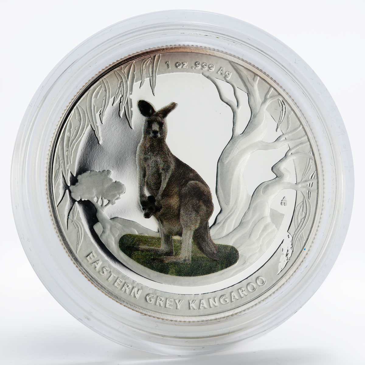 Australia Poland set of 2 coins Kangaroo colored proof silver coin 2013