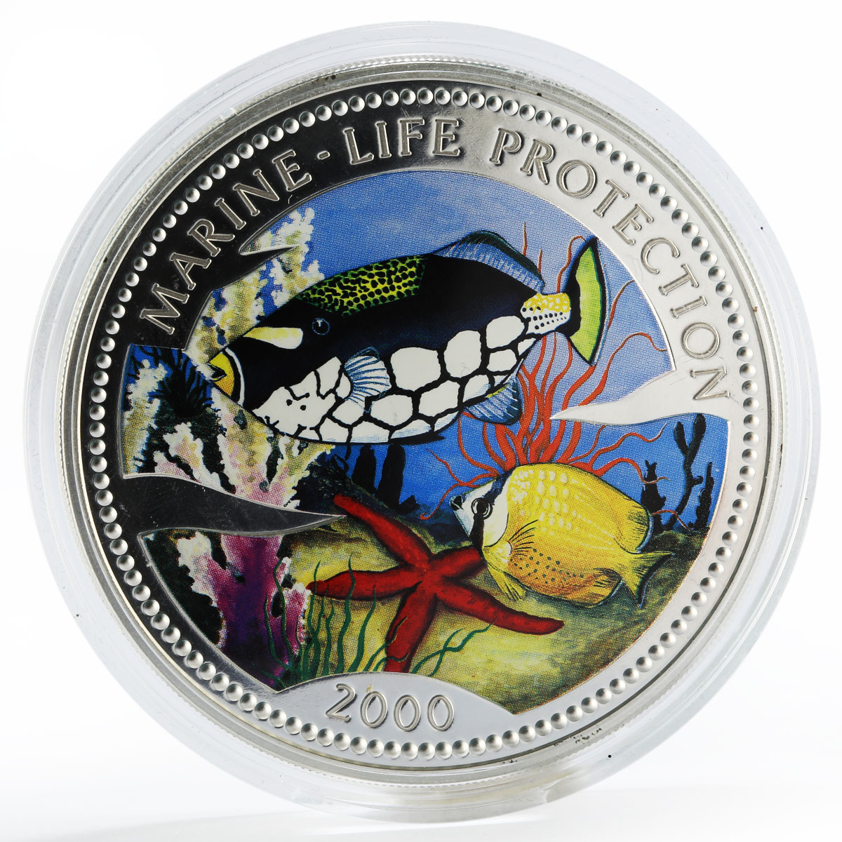 Congo 50 francs Fish Marine Life Protection colored proof silver coin 2000