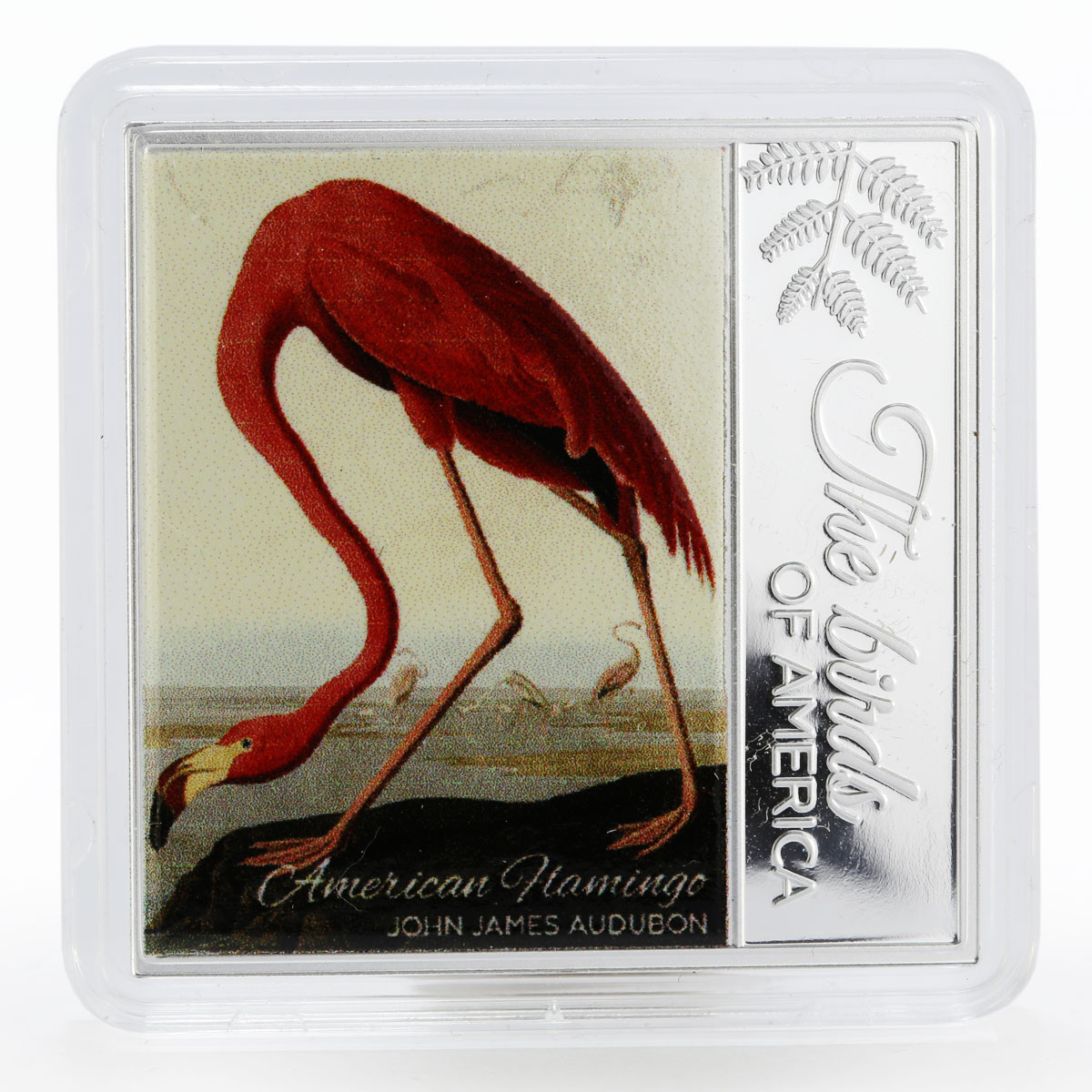 Cameroon 500 francs Birds Of America Flamingo colored proof silver coin 2017