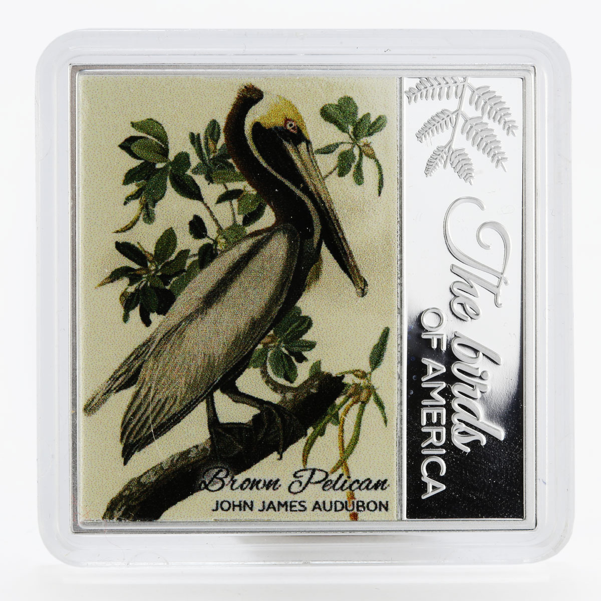 Cameroon 500 francs Birds Of America Brown Pelican color proof silver coin 2017
