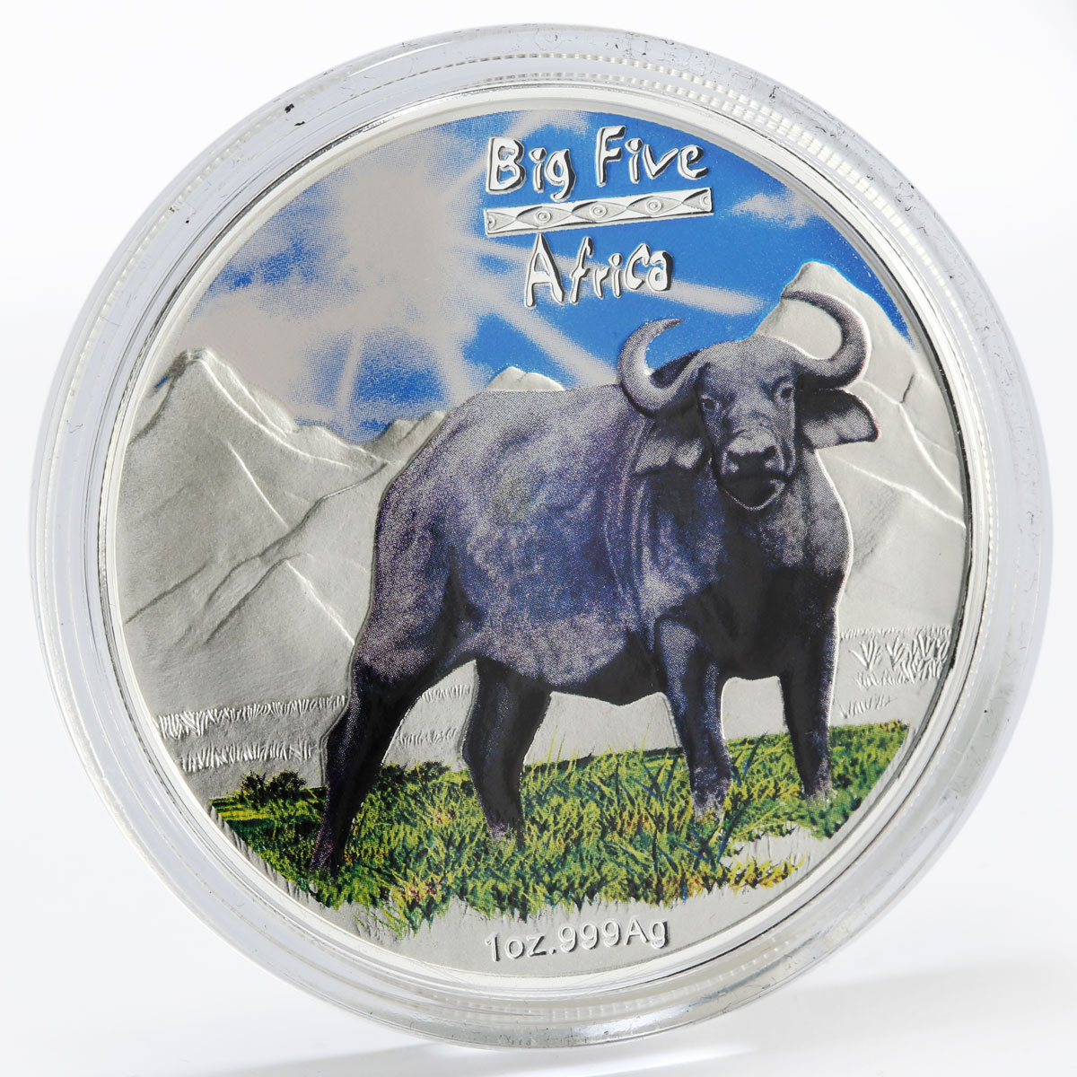 Congo 240 francs Big Five Africa Buffalo colored silver coin 2008