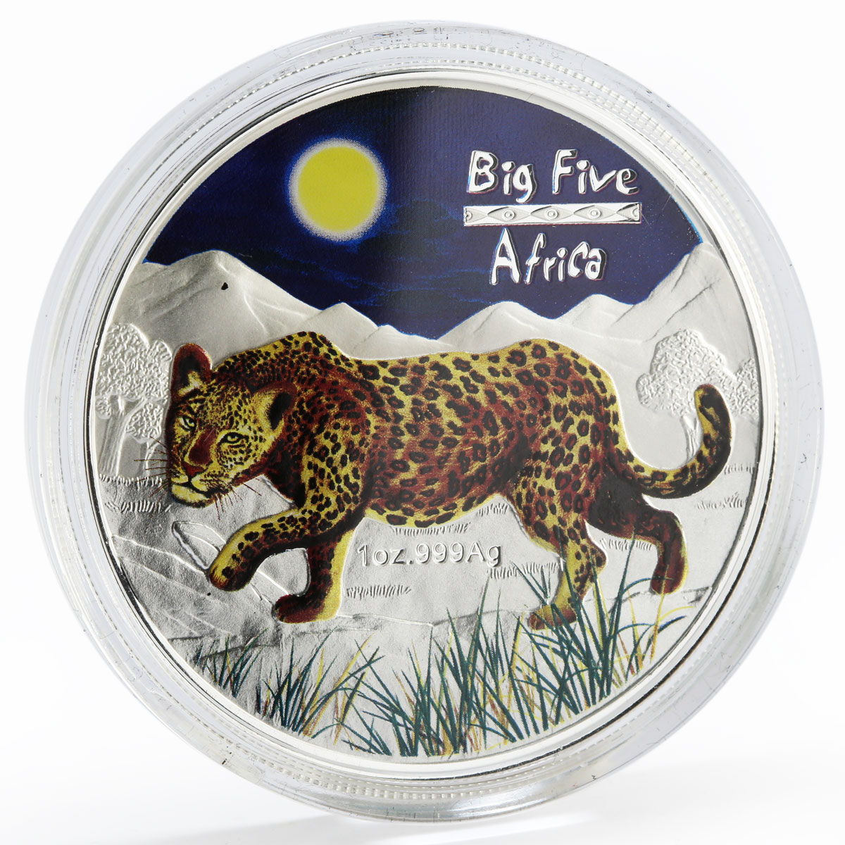 Congo 240 francs Big Five Africa Leopard colored silver coin 2008